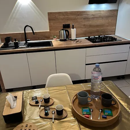 Lumineux Proche Eurexpo Lyon, Groupama Stadium Et Arena Apartament *